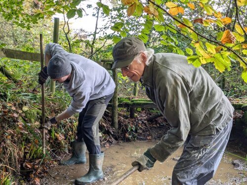 Ditch clearing