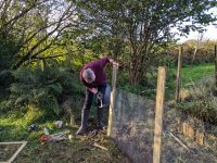 Fence repair
