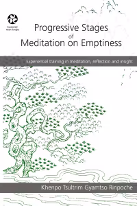 Progressive Stages book cover