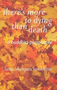 There's more to dying than death book cover